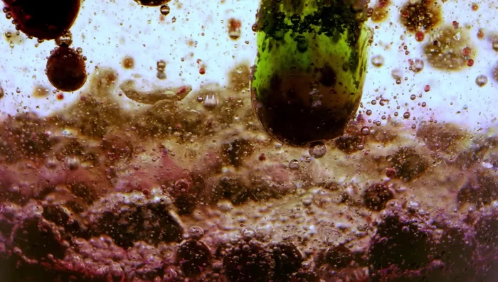 Dump out dirty water and rinse brushes thoroughly with hot water.