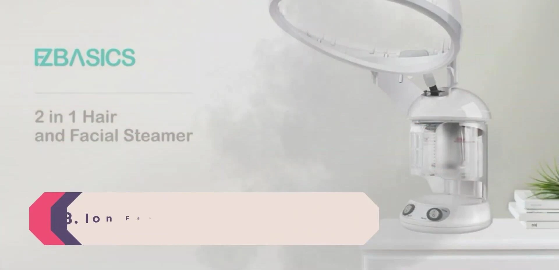 Ion Facial Steamer and Hair Humidifier