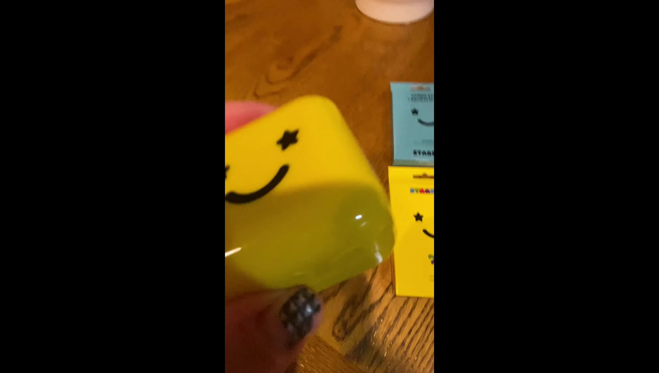Close up of the cute carrying case and mirror