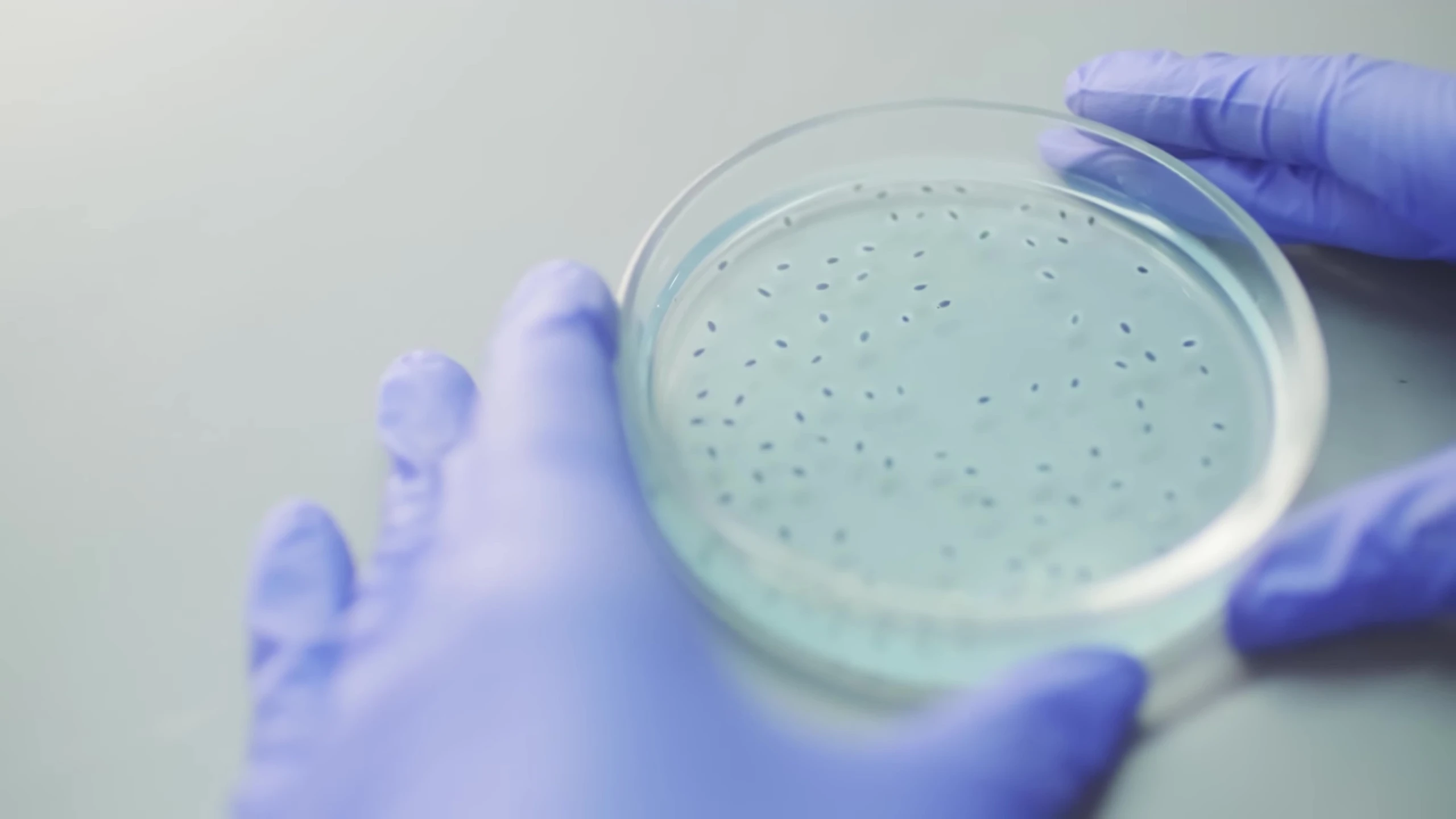 A shot emphasizing the hydrocolloid material or its effect
